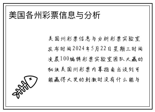 美国各州彩票信息与分析 
